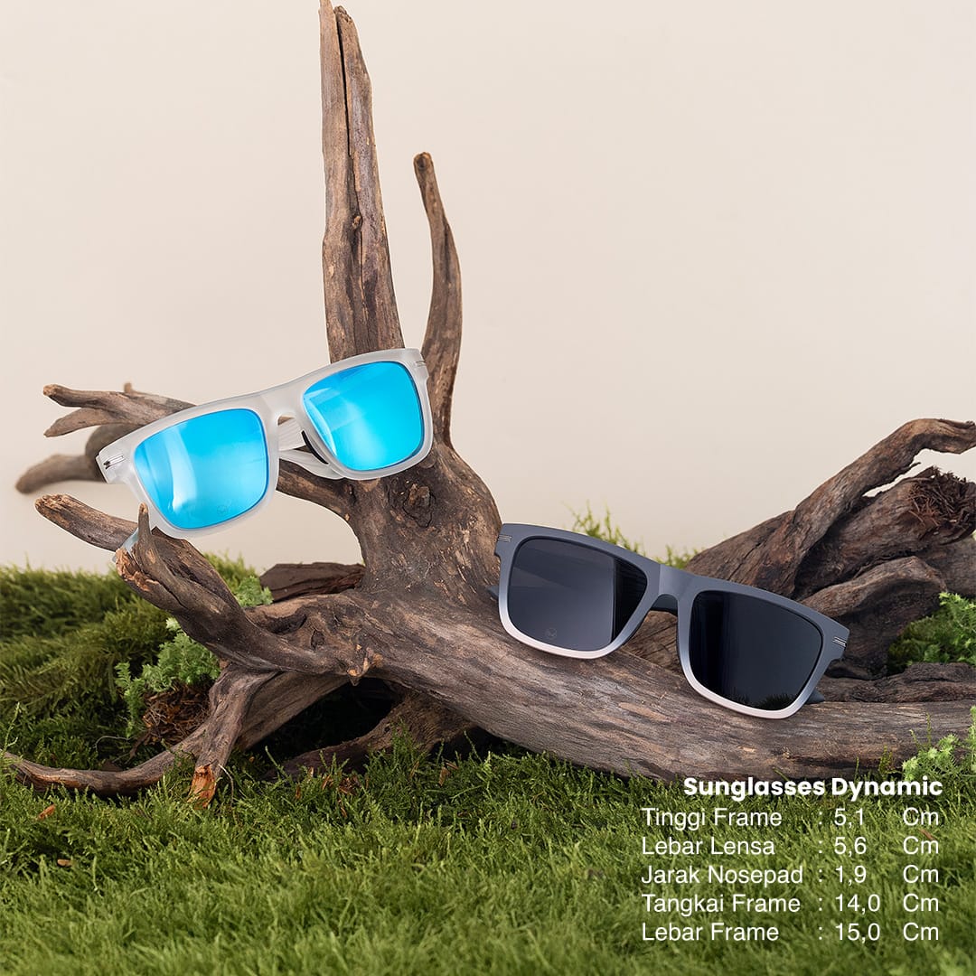 Sunglasses Sport Dynamic Polarized